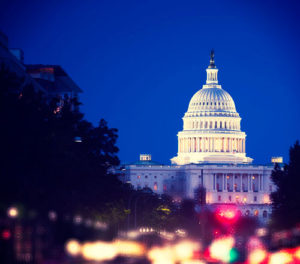Government IT Solutions and Support